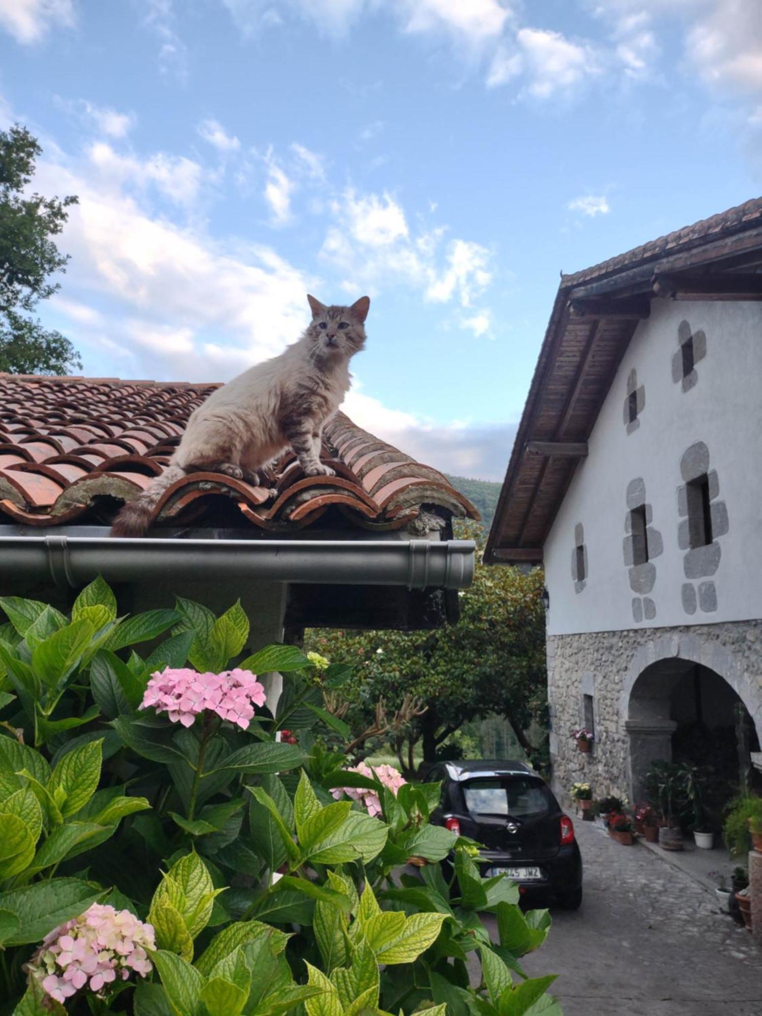 Hotel Rural Natxiondo 레케이티오 외부 사진